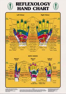 Hand Reflexology Chart Laminate 18x22